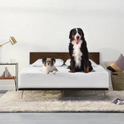 Machine Washable Waterproof Mattress Protector - Tuft & Needle 9 Machine Washable Waterproof Mattress Protector - Tuft & Needle -Bedding Discount Store GUEST 19827f0d 28d0 4c0e 9286 47ed33bcccd0