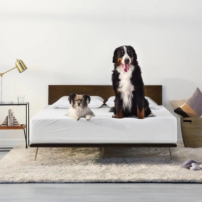 Machine Washable Waterproof Mattress Protector - Tuft & Needle 5 Machine Washable Waterproof Mattress Protector - Tuft & Needle - Image 5