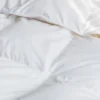 All Season Luxury White Duck Down Duvet Comforter Insert | BOKSER HOME