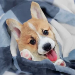 New Arrival -Bedding Discount Store GUEST a78fc1c7 f84b 4093 9394 14de89ee013c