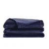 Truly Soft Velvet Plush Family Blanket Navy: 120x120" Microplush, Machine Washable, All Ages