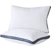 Aghana Digitals Luxury Queen Size Bed Pillows Set Of 2 For Side Sleepers