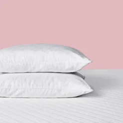 King Soft 2pk Fresh & Cool Gel Memory Foam Bed Pillow With Antimicrobial Cover - Nüe By Novaform