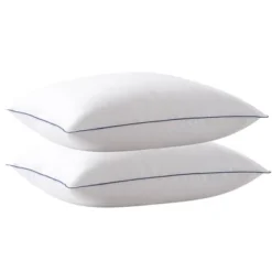 Weatherproof Vintage Microfiber 2pc Bed Pillow