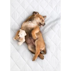 PharMeDoc Leak Proof Slip-Resistant Mattress Pad Protector -Bedding Discount Store GUEST f9e49a72 ff02 4989 a11f 738424550171